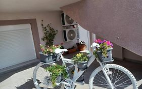Comfort House Mimosa 1